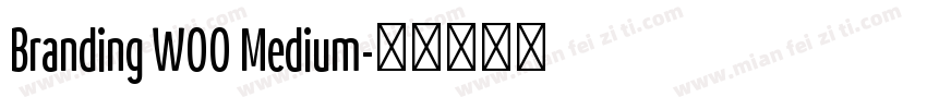 Branding W00 Medium字体转换